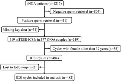 Novel predictors for livebirth delivery rate in patients with idiopathic non-obstructive azoospermia based on the clinical prediction model